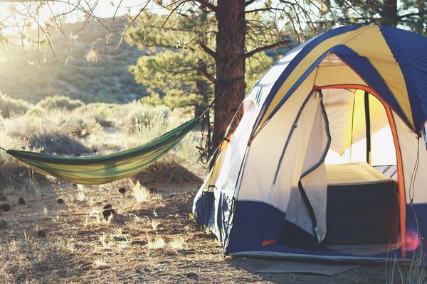 Comment choisir le bon matériel pour un camping en région marécageuse pendant l'été?